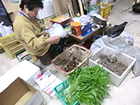 高野やま里市