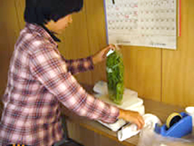 高野やま里市
