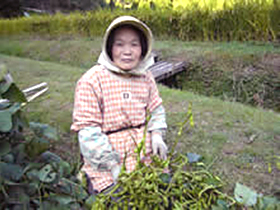 十川さよ美さん