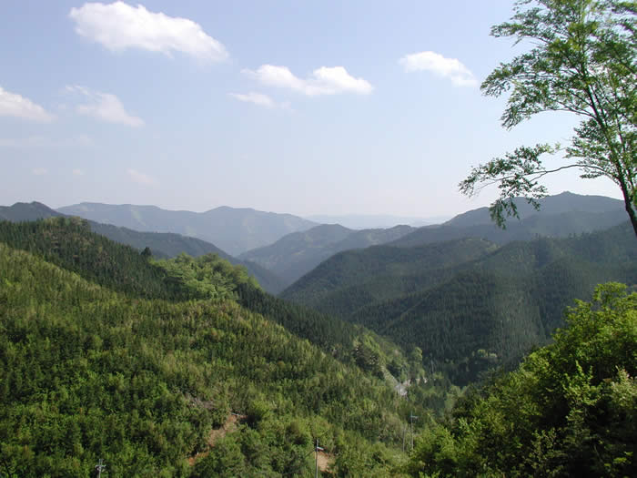 高野山の山並み