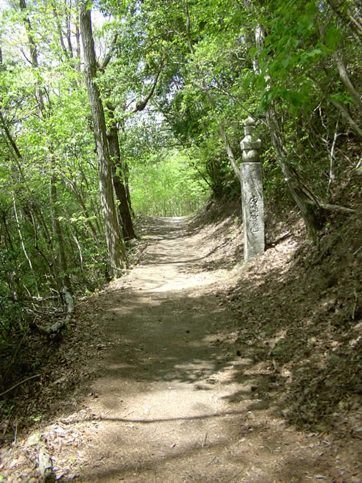 高野山参詣道 高野山町石道