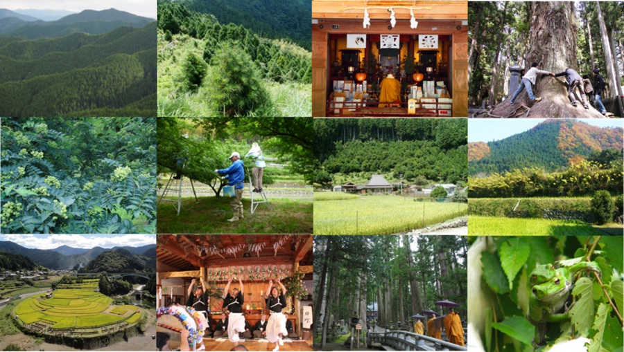 「聖地 高野山と有田川上流域を結ぶ持続的農林業システム」が日本農業遺産に認定されました！