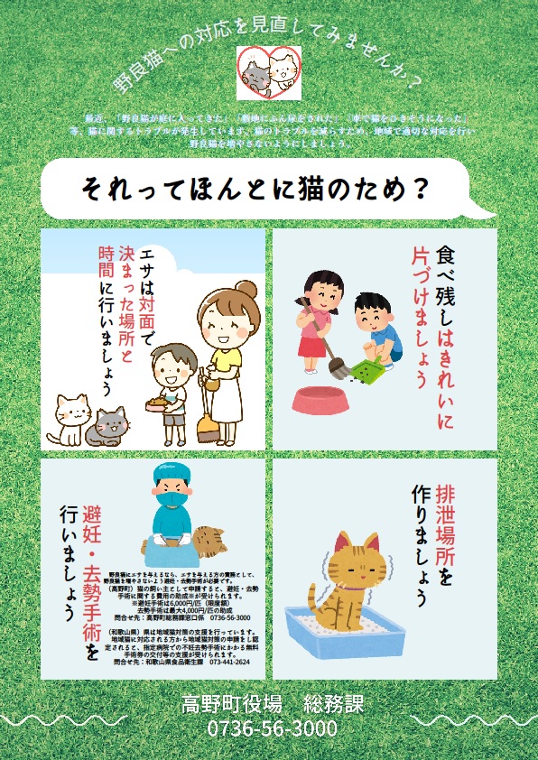 野良猫の注意喚起の画像