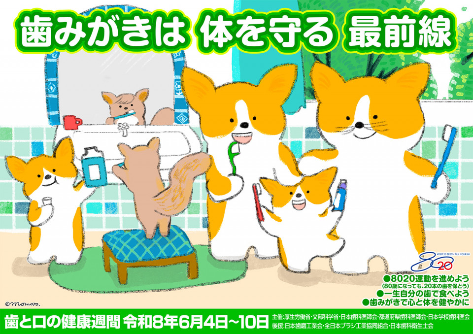 歯と口の健康について